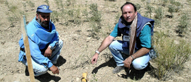 Afghanistan